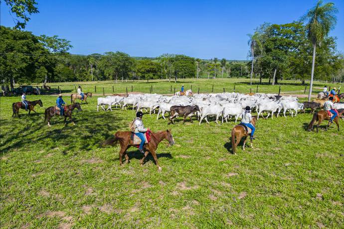 Dia do Pantanal: Cavalgadas são aventura certa para viver um pouco da  cultura do homem pantaneiro – Turismo MS