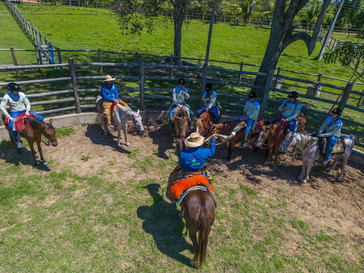 G1 - No Pantanal de MS, cavalgada entre fazendas pode durar até uma semana  - notícias em Mato Grosso do Sul